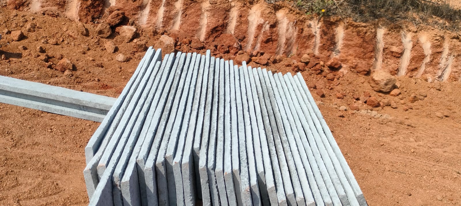 WhatsApp Image 2024-01-20 at 1.21.01 PM (1)